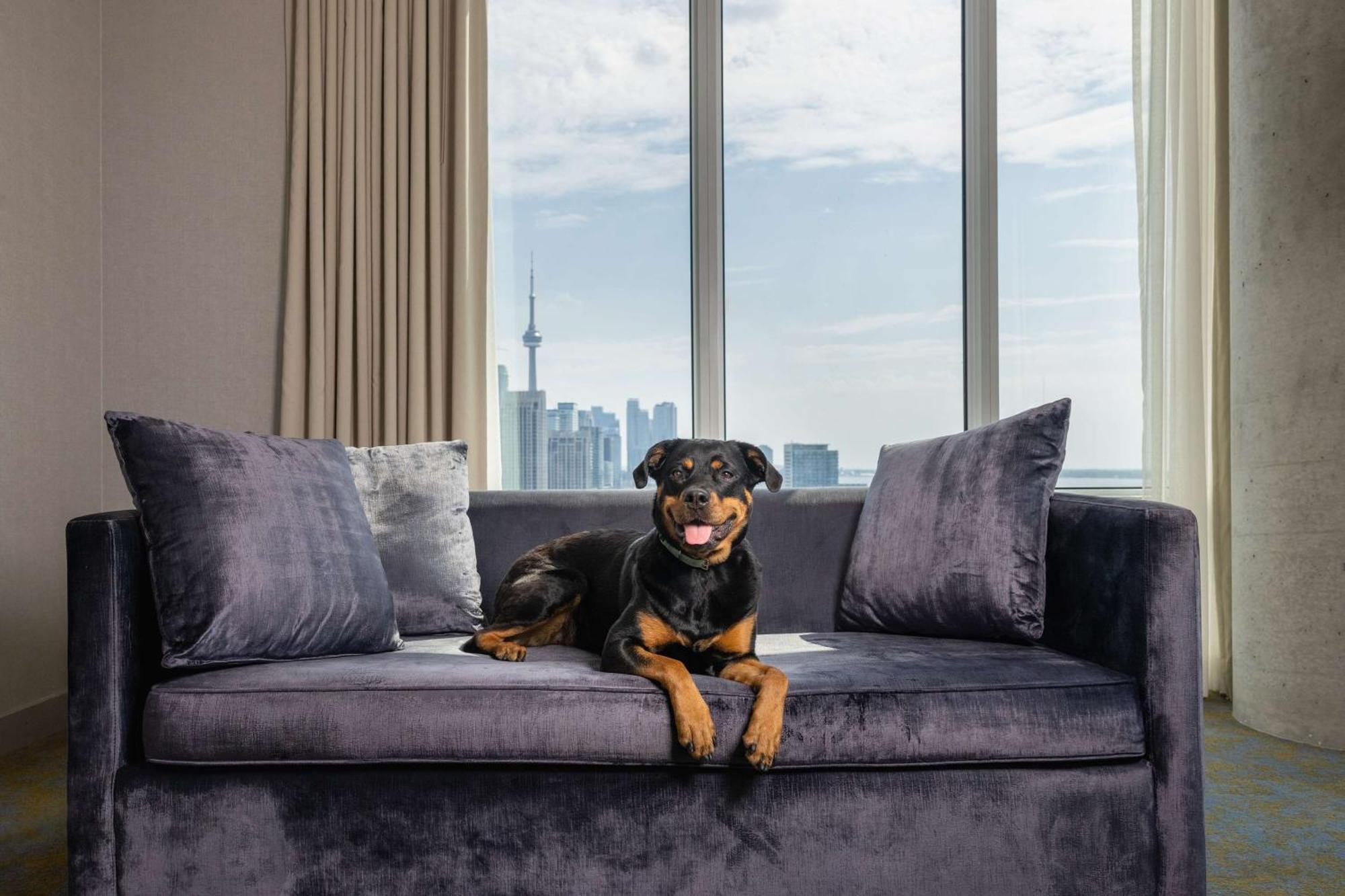 Hotel X Toronto, A Destination By Hyatt Hotel Extérieur photo